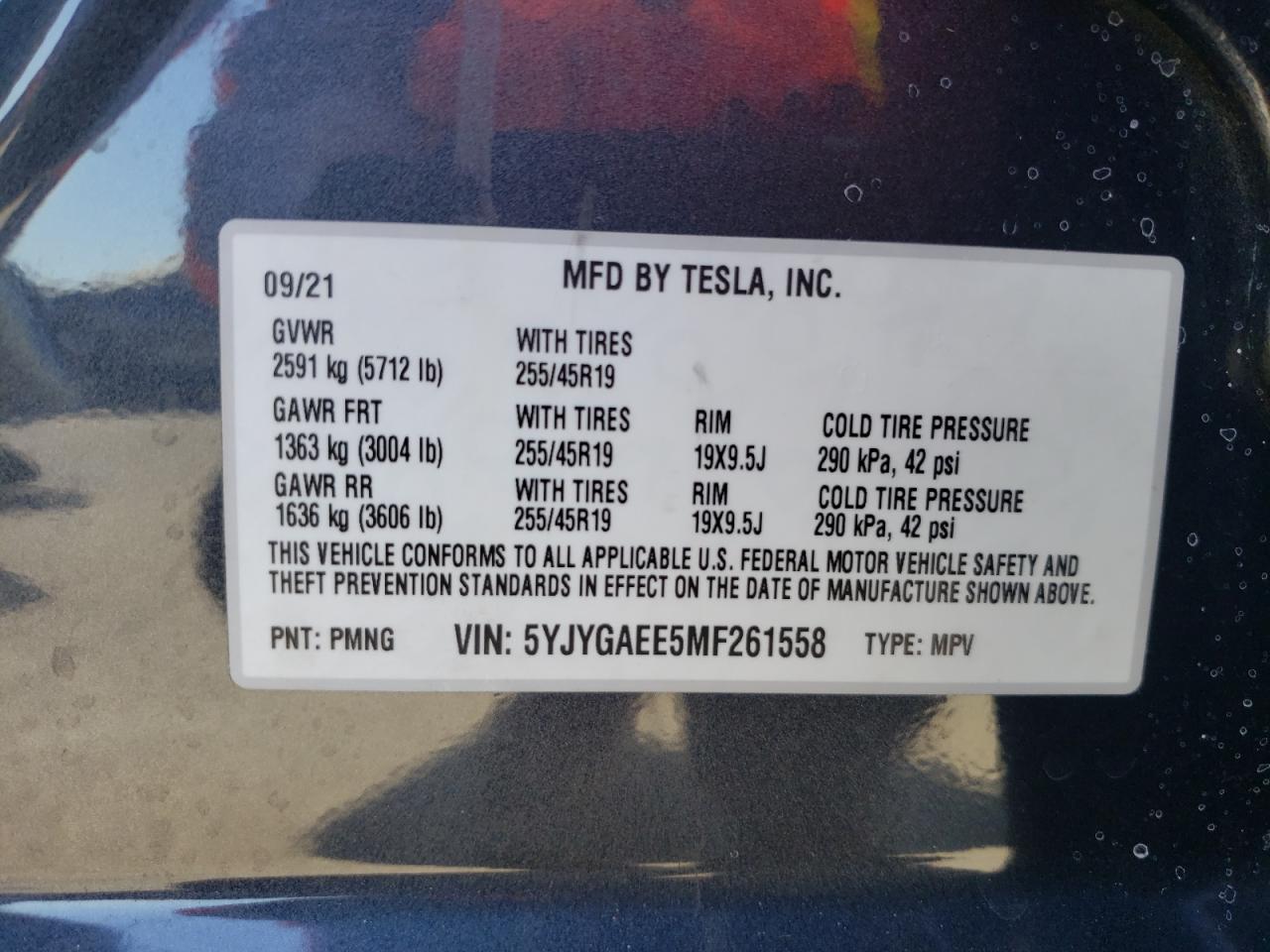 VIN 5YJYGAEE5MF261558 2021 TESLA MODEL Y no.14