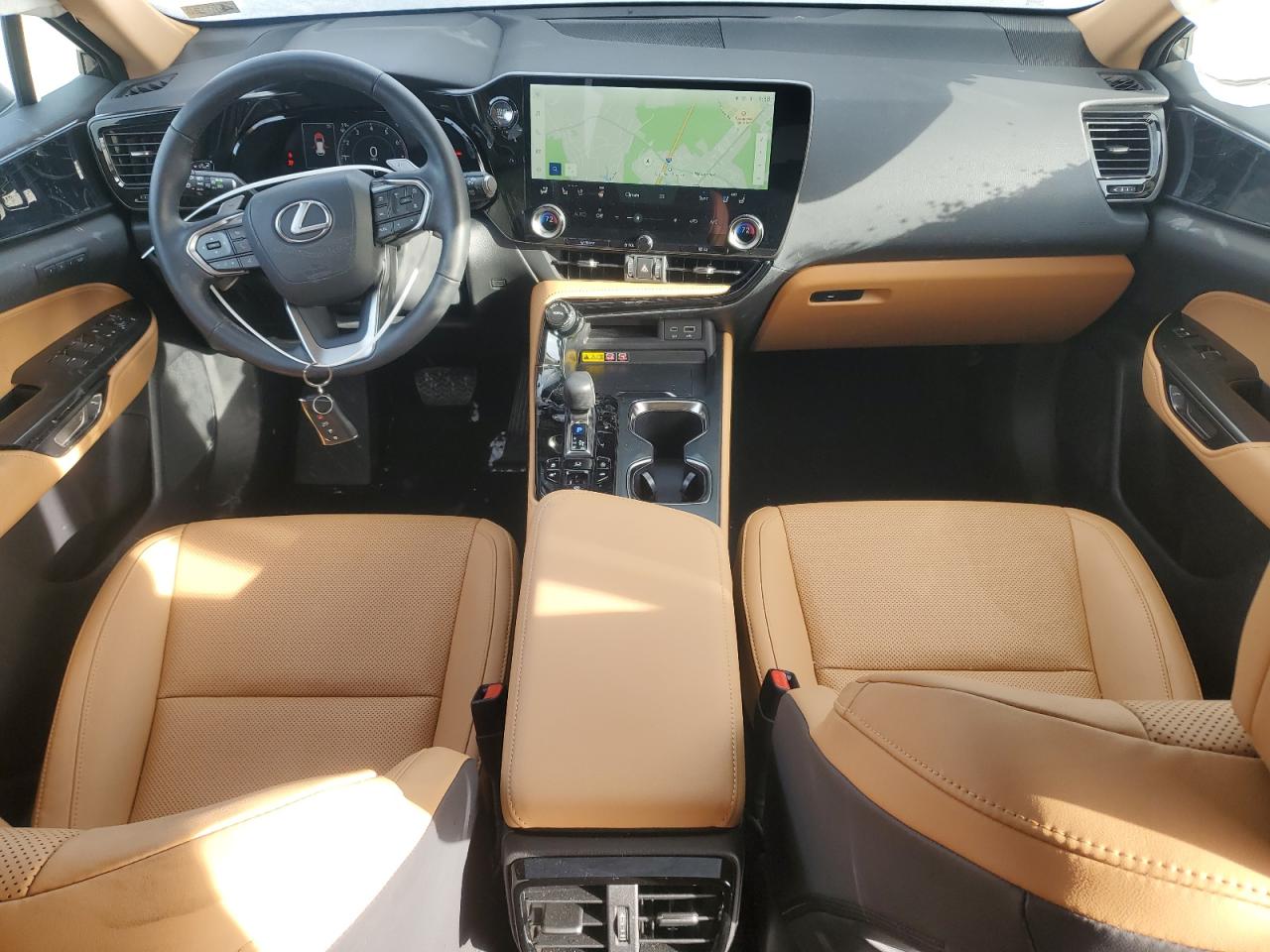 2024 Lexus NX - Image 8