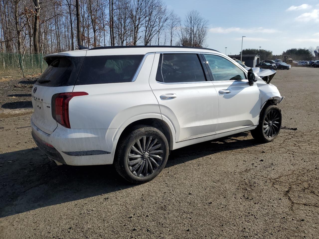 2024 Hyundai Palisade - Image 3
