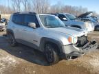 2015 Jeep Renegade Trailhawk للبيع في Davison، MI - Front End