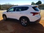China Grove, NC에서 판매 중인 2023 Hyundai Santa Fe Sel - Front End