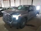 2023 Toyota Tundra Crewmax Platinum продається в Lexington, KY - All Over