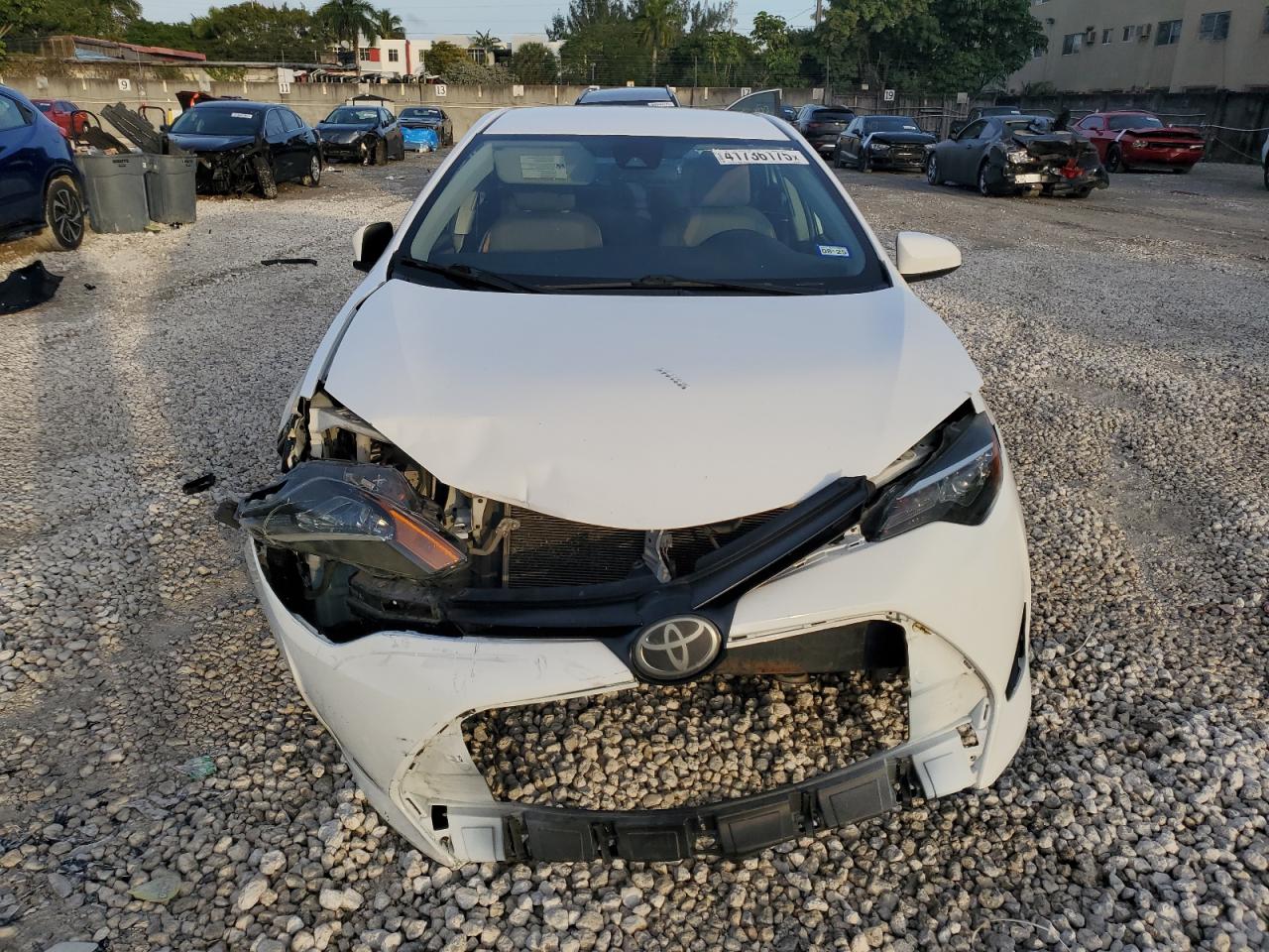 2019 Toyota Corolla - Image 5