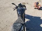 2024 CF MOTO 800NK  a la Venta en Copart LA - BATON ROUGE