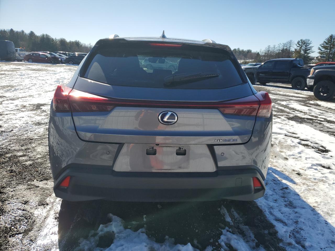 2021 Lexus UX - Image 6
