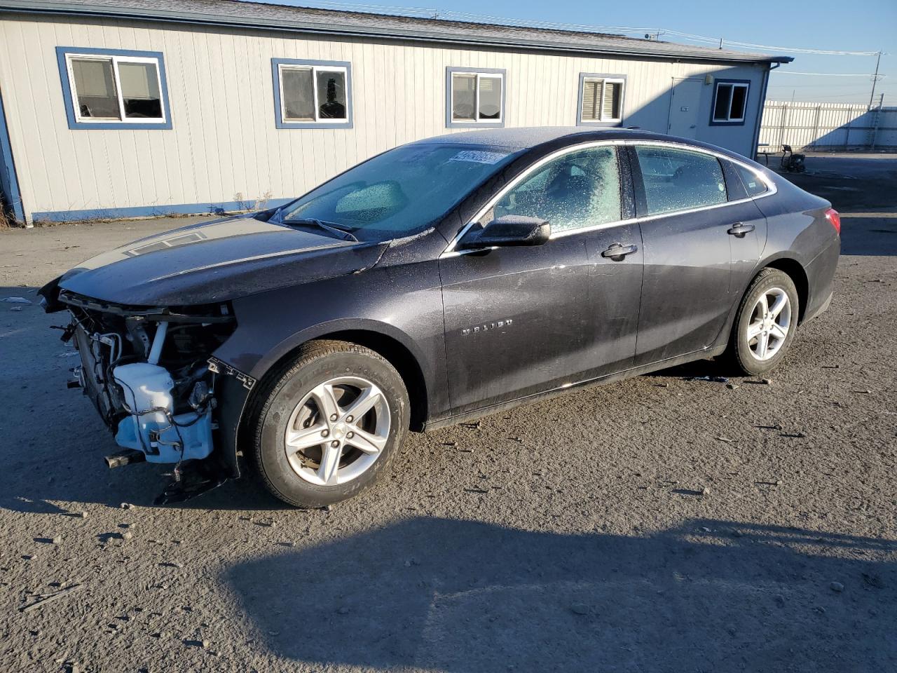 2023 Chevrolet Malibu - Image 1