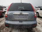 2007 HONDA CR-V EXL for sale at Copart ON - TORONTO