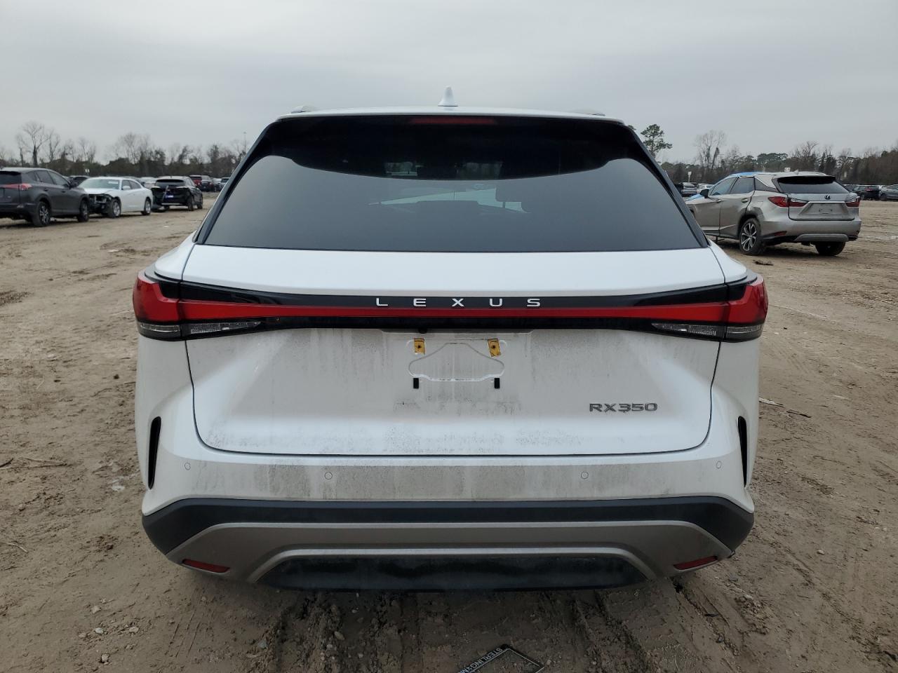 2023 Lexus RX - Image 6