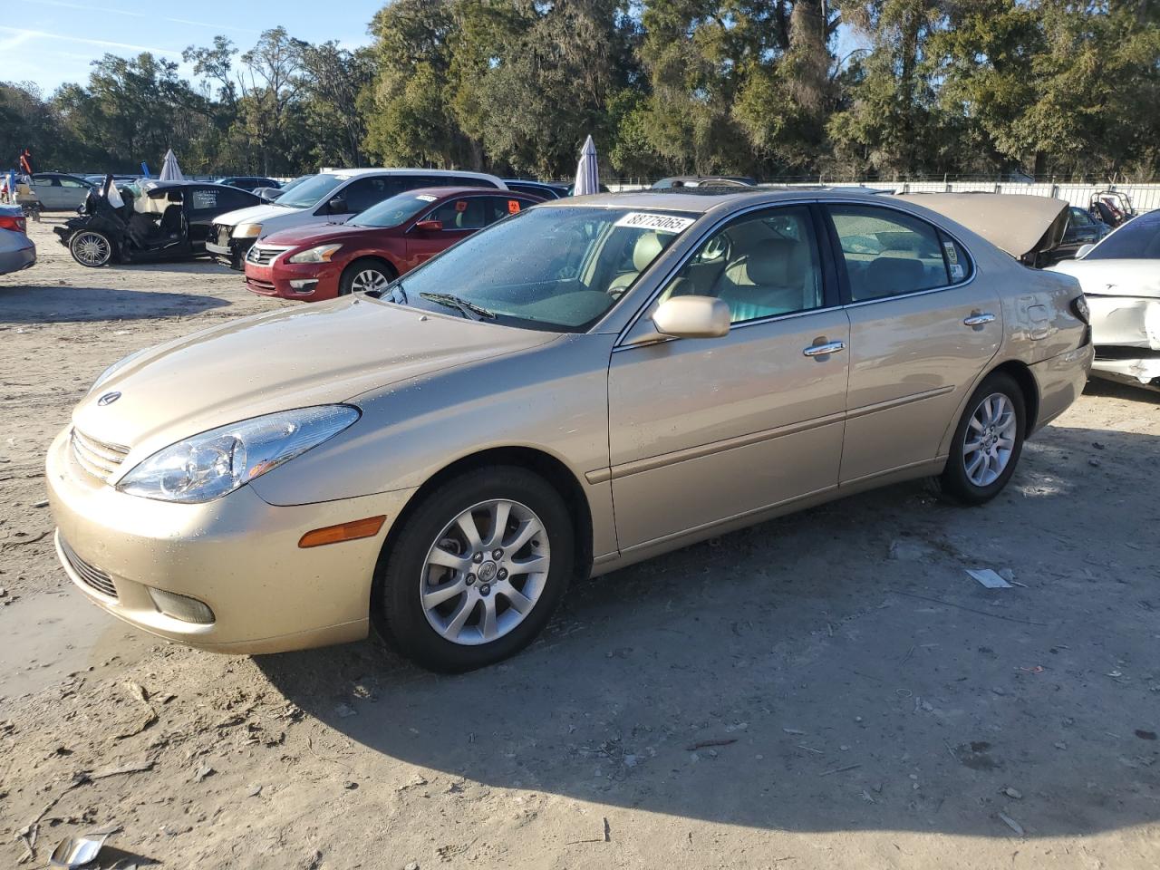 2003 Lexus ES - Image 1