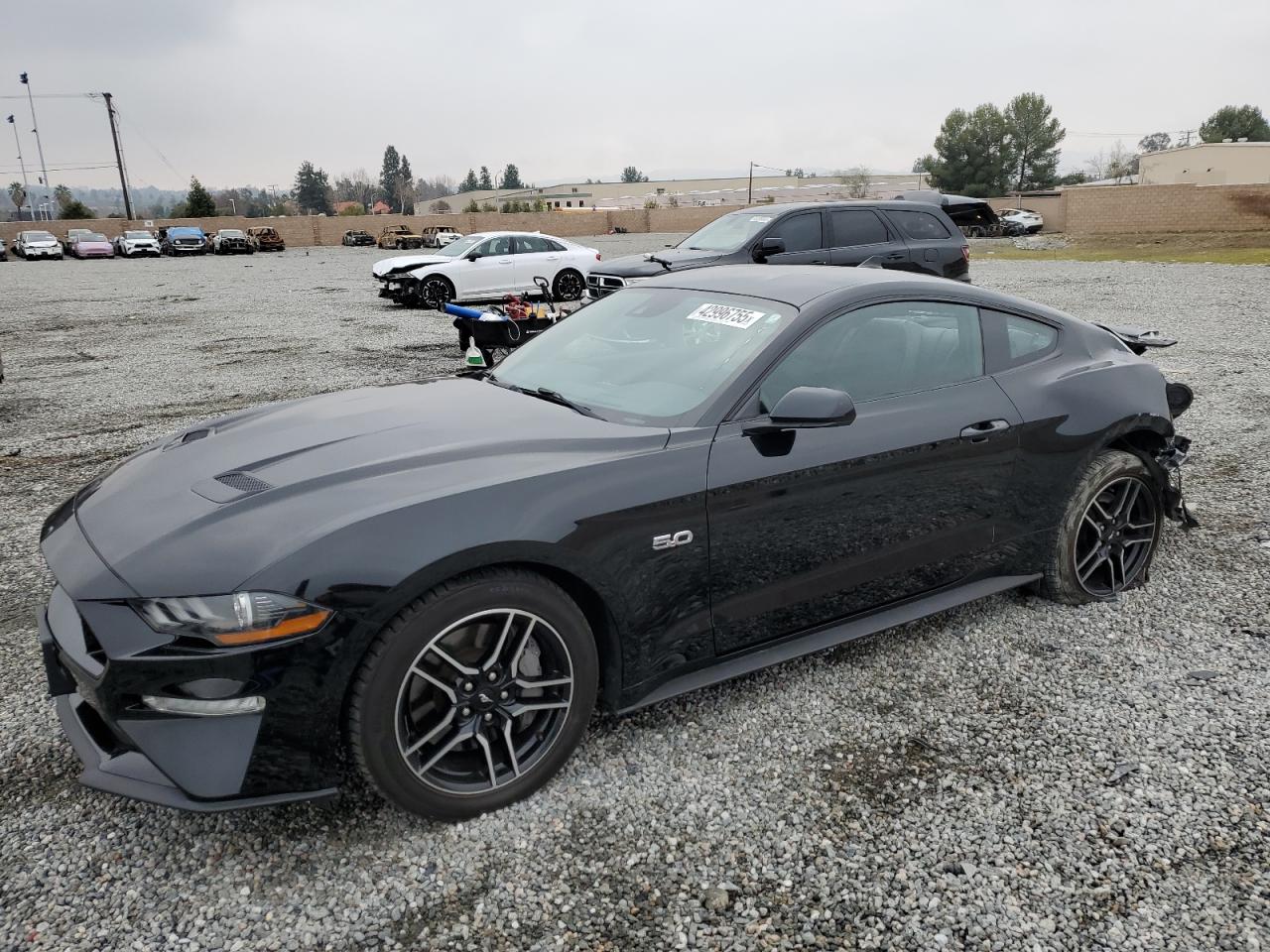 2021 Ford Mustang - Image 1