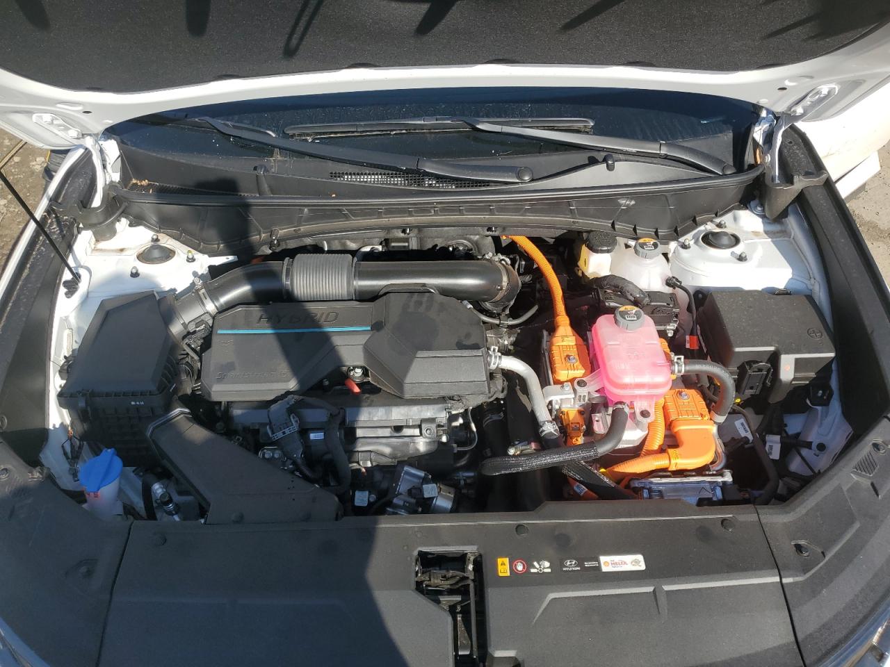 2024 Hyundai Tucson - Image 12