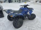 2016 YAMAHA YFM700 FWBD for sale at Copart QC - MONTREAL