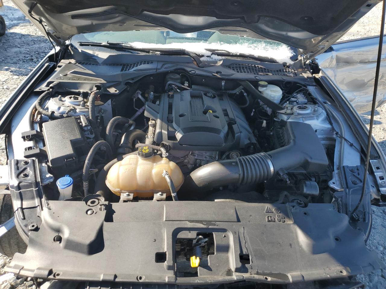 2020 Ford Mustang VIN: 1FATP8UH5L5119392 Lot: 87971645