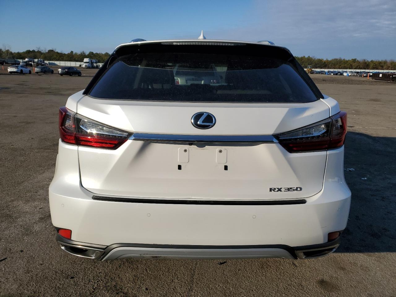 VIN 2T2HZMDA6LC253493 2020 LEXUS RX350 no.6