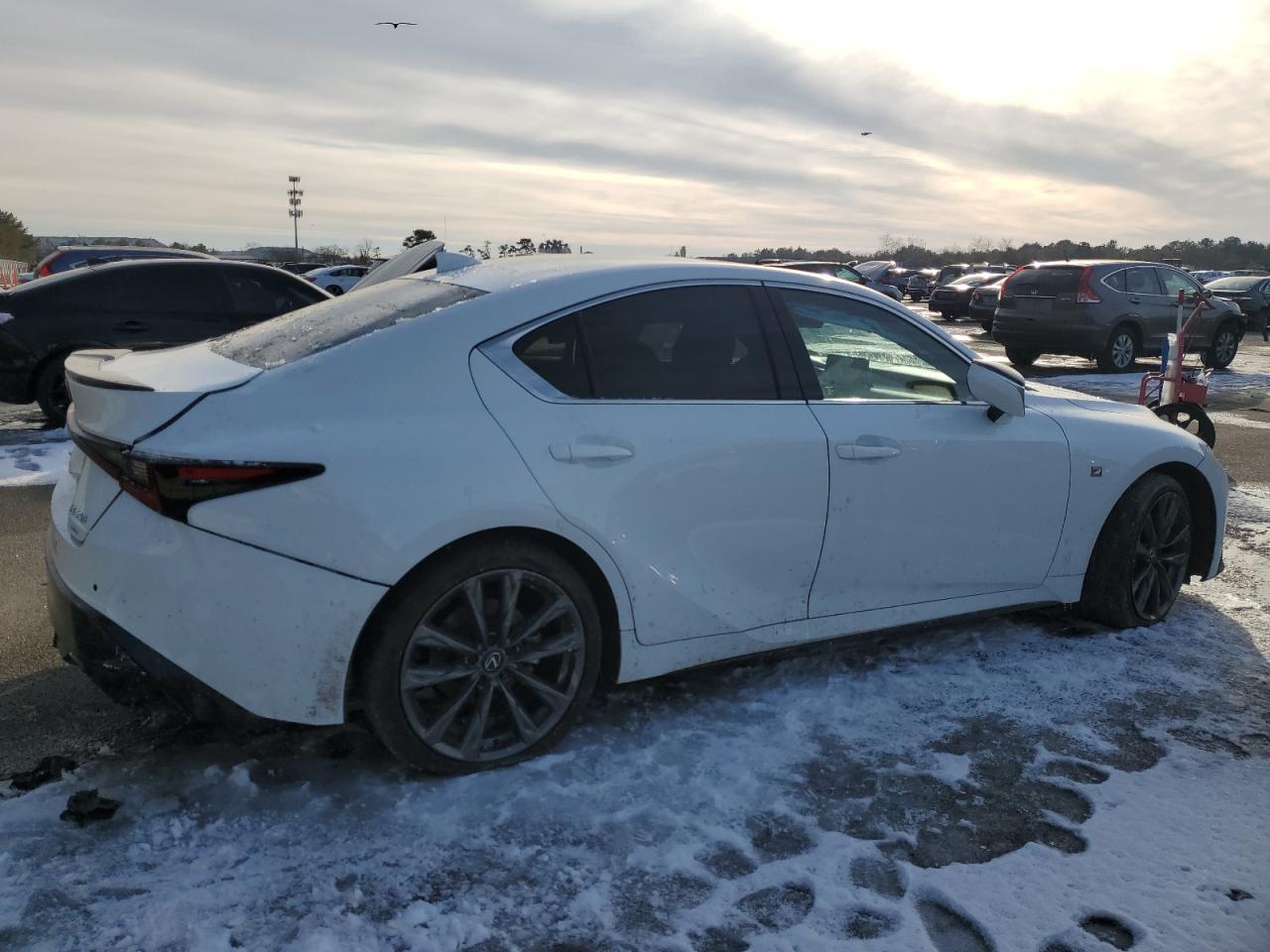 2024 Lexus IS - Image 3