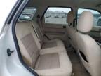 2008 Ford Escape Xlt للبيع في York Haven، PA - Front End