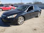 2011 Honda Accord Exl for Sale in Wilmer, TX - Normal Wear