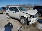 2010 Ford Escape Xls zu verkaufen in Pekin, IL - Front End