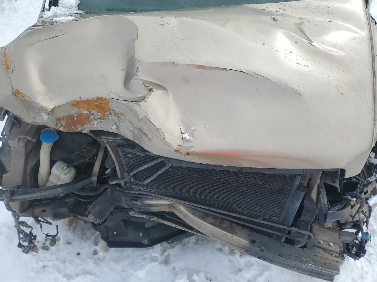 2006 Honda Pilot Ex VIN: 5FNYF28516B044600 Lot: 69854105