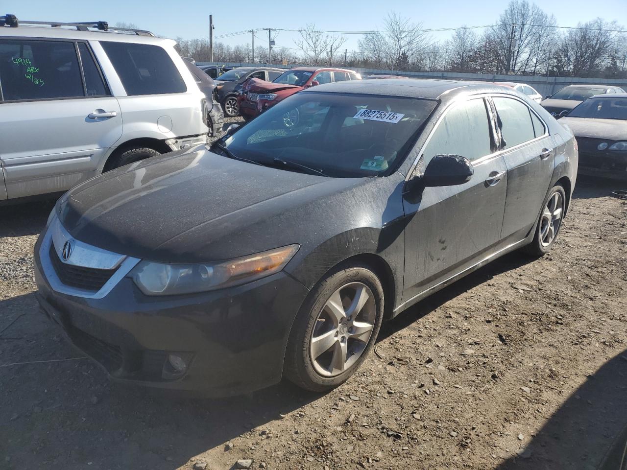 2010 Acura TSX - Image 1