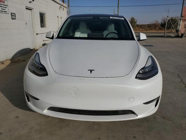  TESLA MODEL Y 2023 White