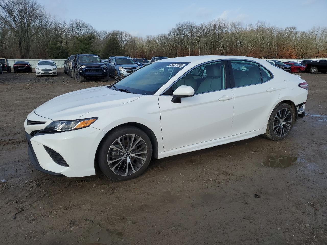2020 Toyota Camry - Image 1