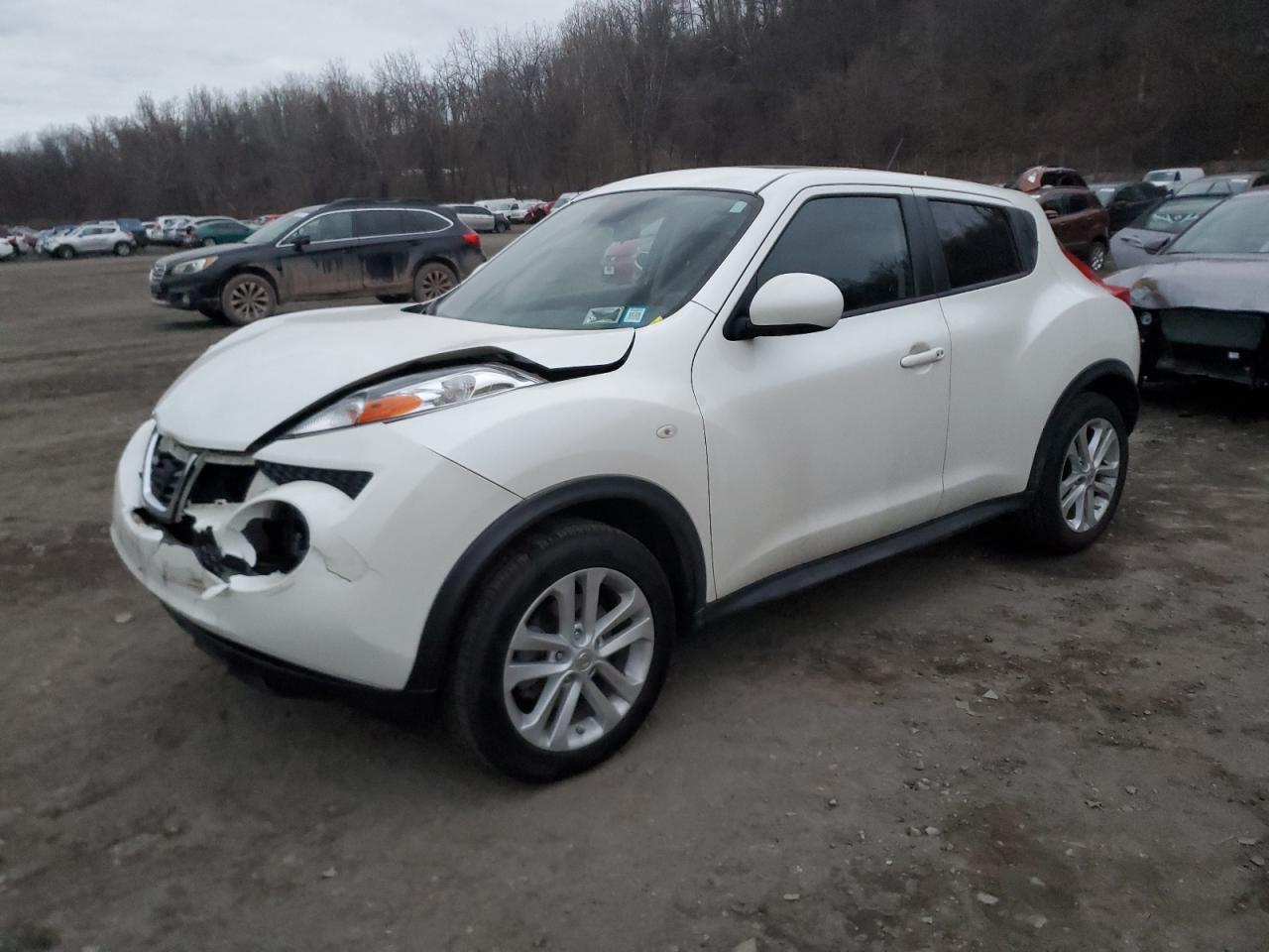2013 Nissan Juke - Image 1