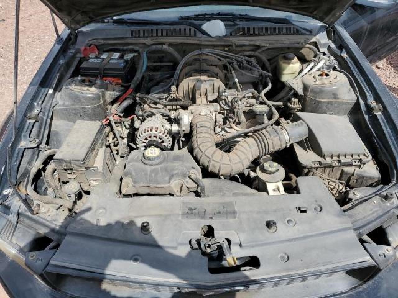 2006 Ford Mustang VIN: 1ZVFT84N065125479 Lot: 88999935