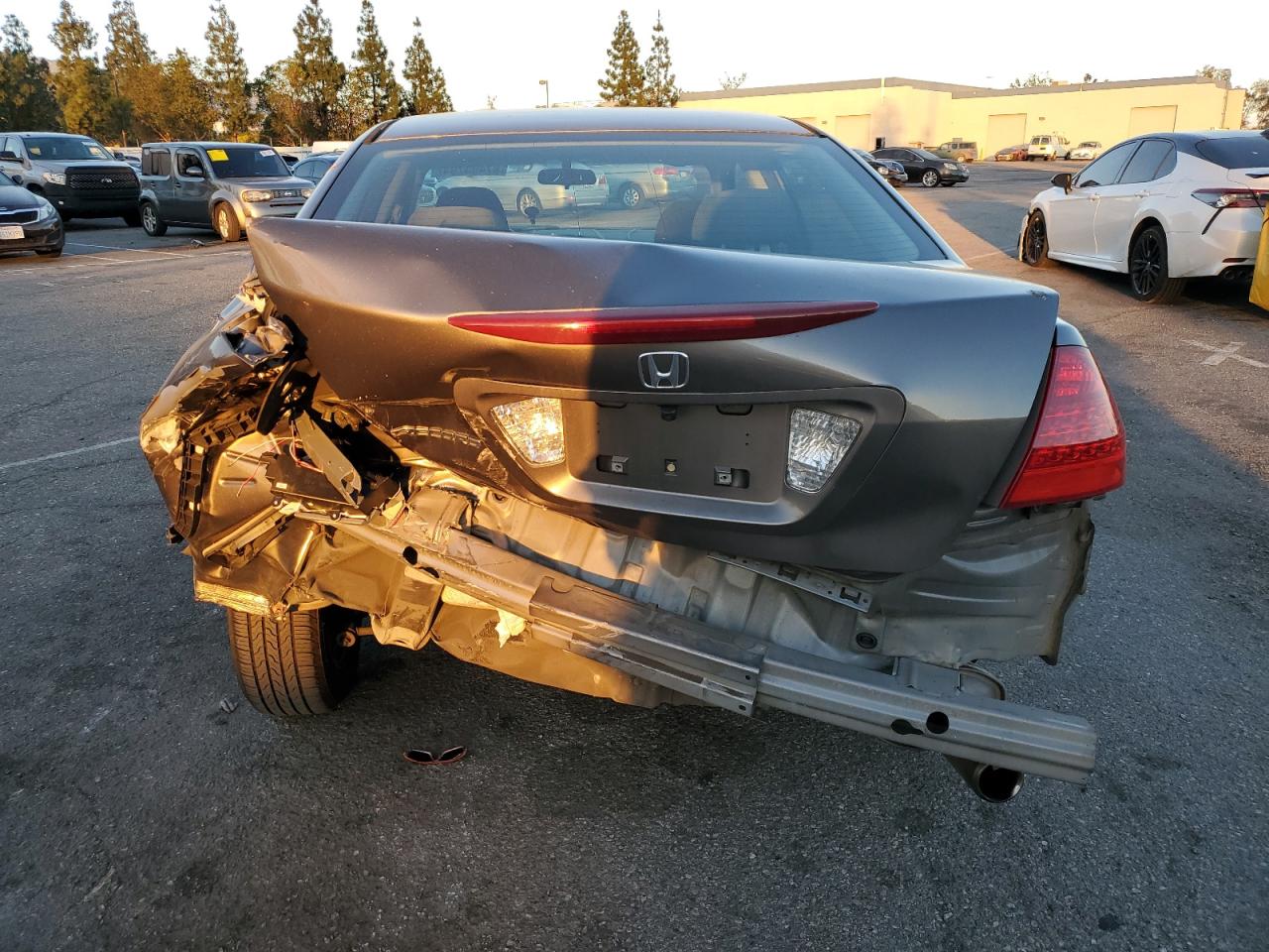 2006 Honda Accord Ex VIN: 1HGCM567X6A131556 Lot: 87493794