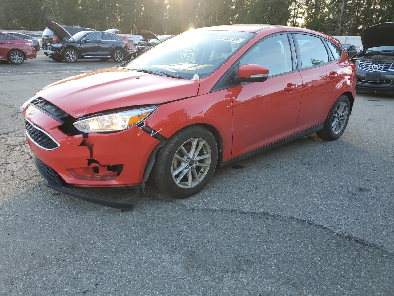 VIN 1FADP3K24GL281022 2016 FORD FOCUS no.1