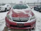 2010 Lexus Hs 250H იყიდება Chicago Heights-ში, IL - Front End