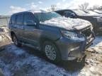 2017 Lexus Gx 460 იყიდება Kansas City-ში, KS - Front End