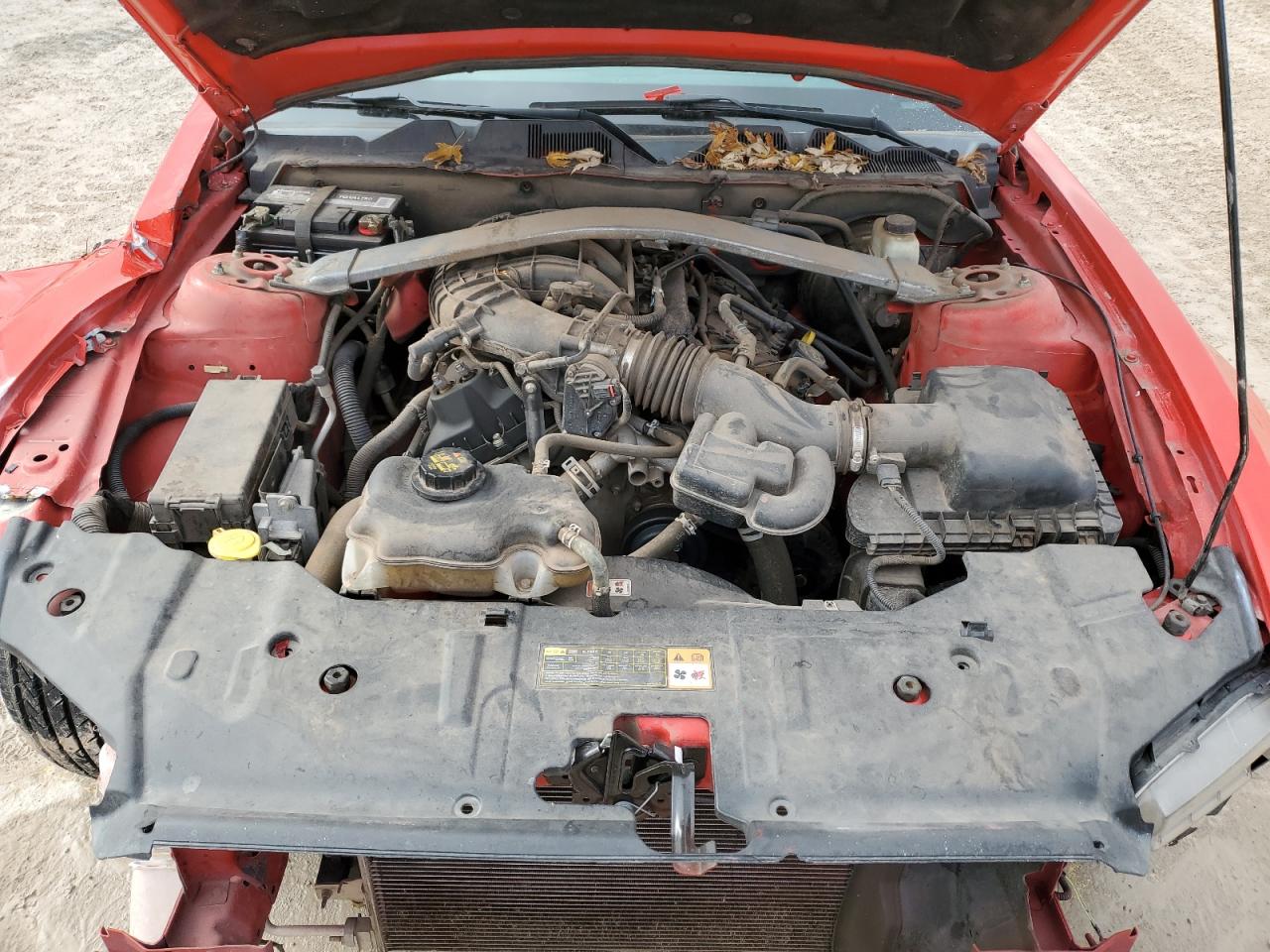 2014 Ford Mustang - Image 11