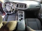 2020 Dodge Challenger Sxt for Sale in Woodhaven, MI - Front End