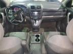 2007 Honda Cr-V Ex на продаже в Lawrenceburg, KY - Rear End