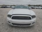 2014 Ford Mustang  for Sale in West Palm Beach, FL - Rear End