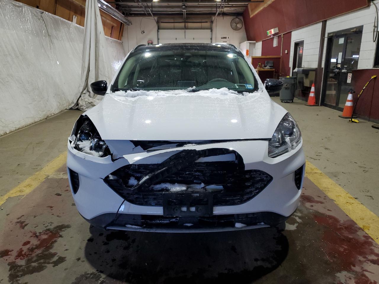2020 Ford Escape - Image 5