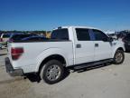 2010 Ford F150 Supercrew   for Sale in Jacksonville, FL - Front End