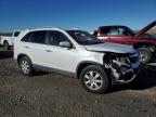 2013 Kia Sorento Lx for Sale in Magna, UT - Front End