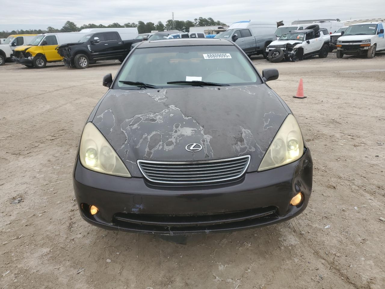 2005 Lexus Es 330 VIN: JTHBA30G055107093 Lot: 88809095