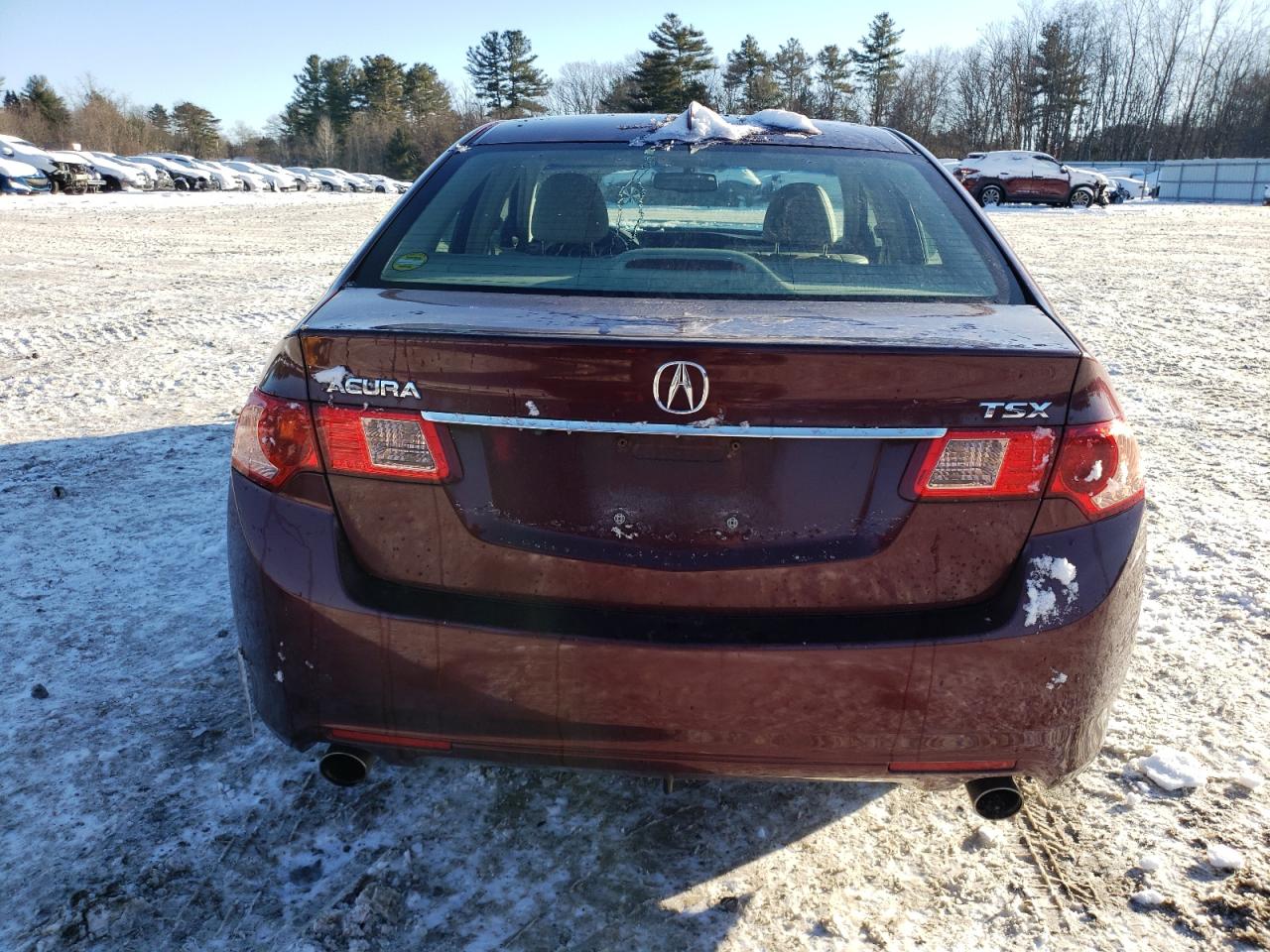 2011 Acura TSX - Image 6