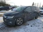 2019 HONDA ODYSSEY TOURING for sale at Copart ON - TORONTO