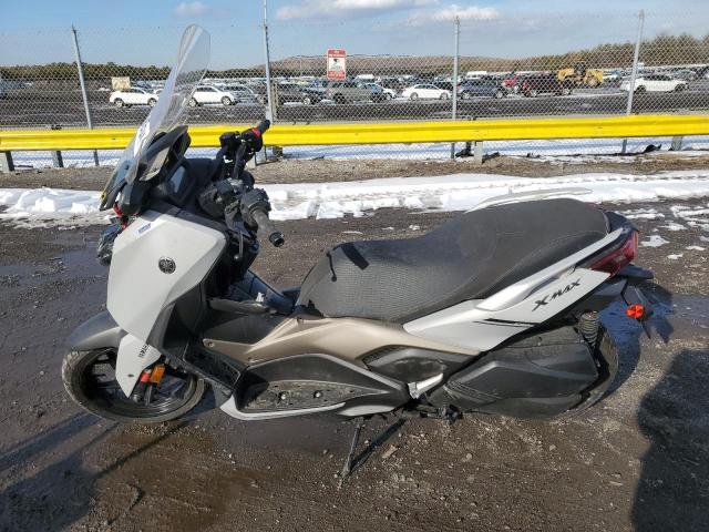 2023 YAMAHA CZD300 A