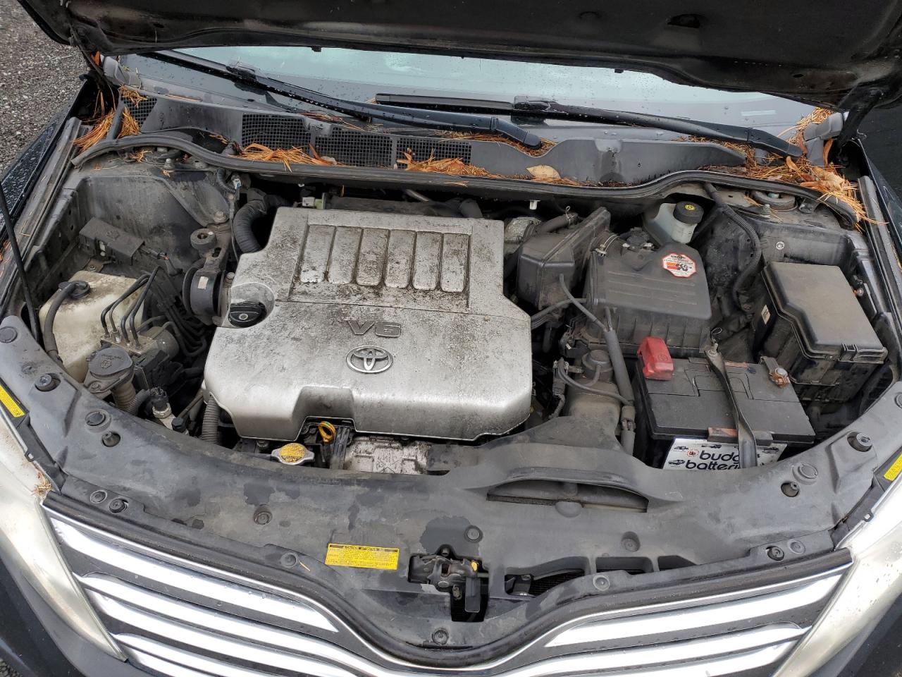 2009 Toyota Venza VIN: 4T3BK11A99U004086 Lot: 88294485