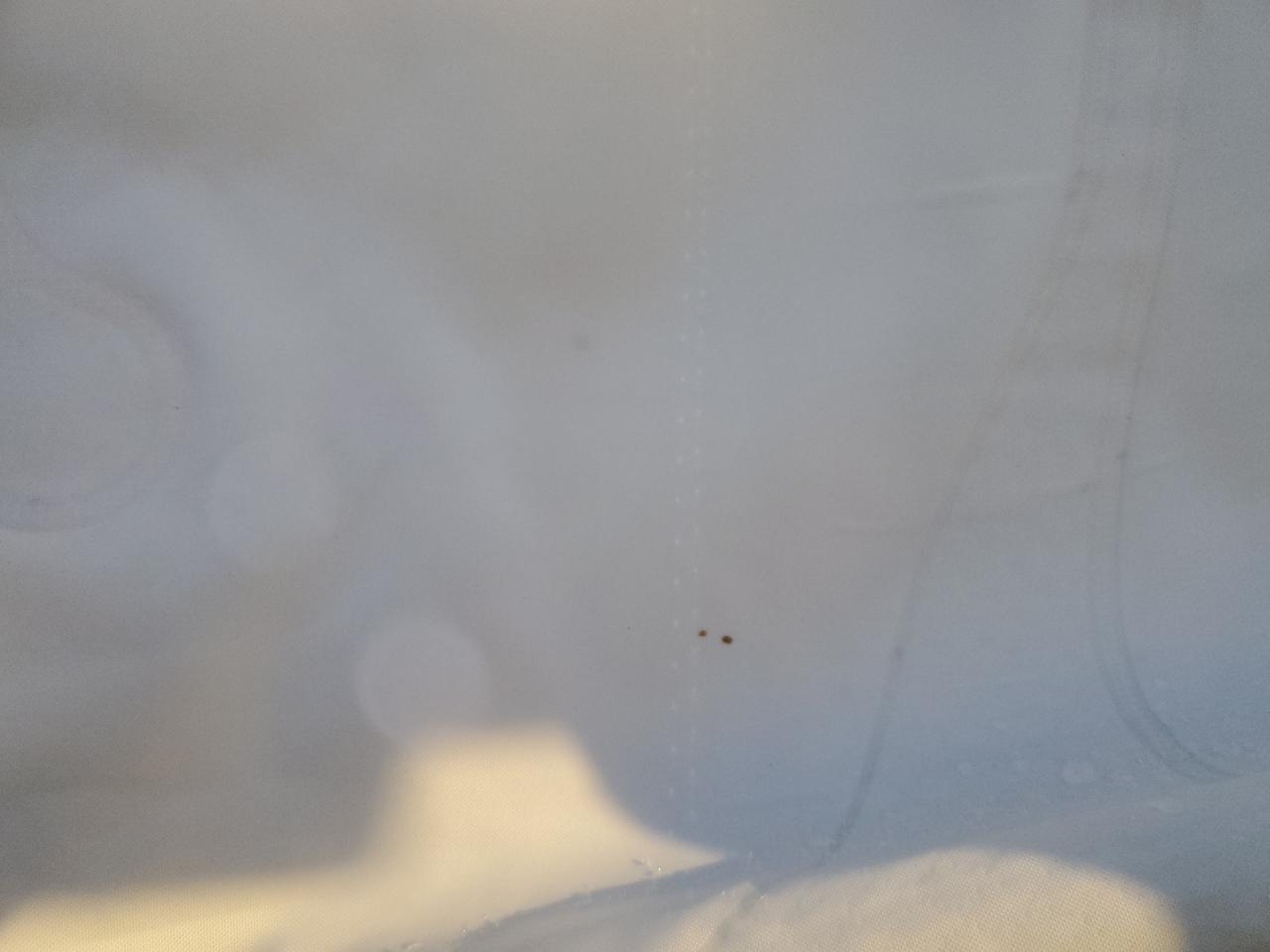 2021 Honda Pilot Exl VIN: 5FNYF6H55MB088250 Lot: 87433634