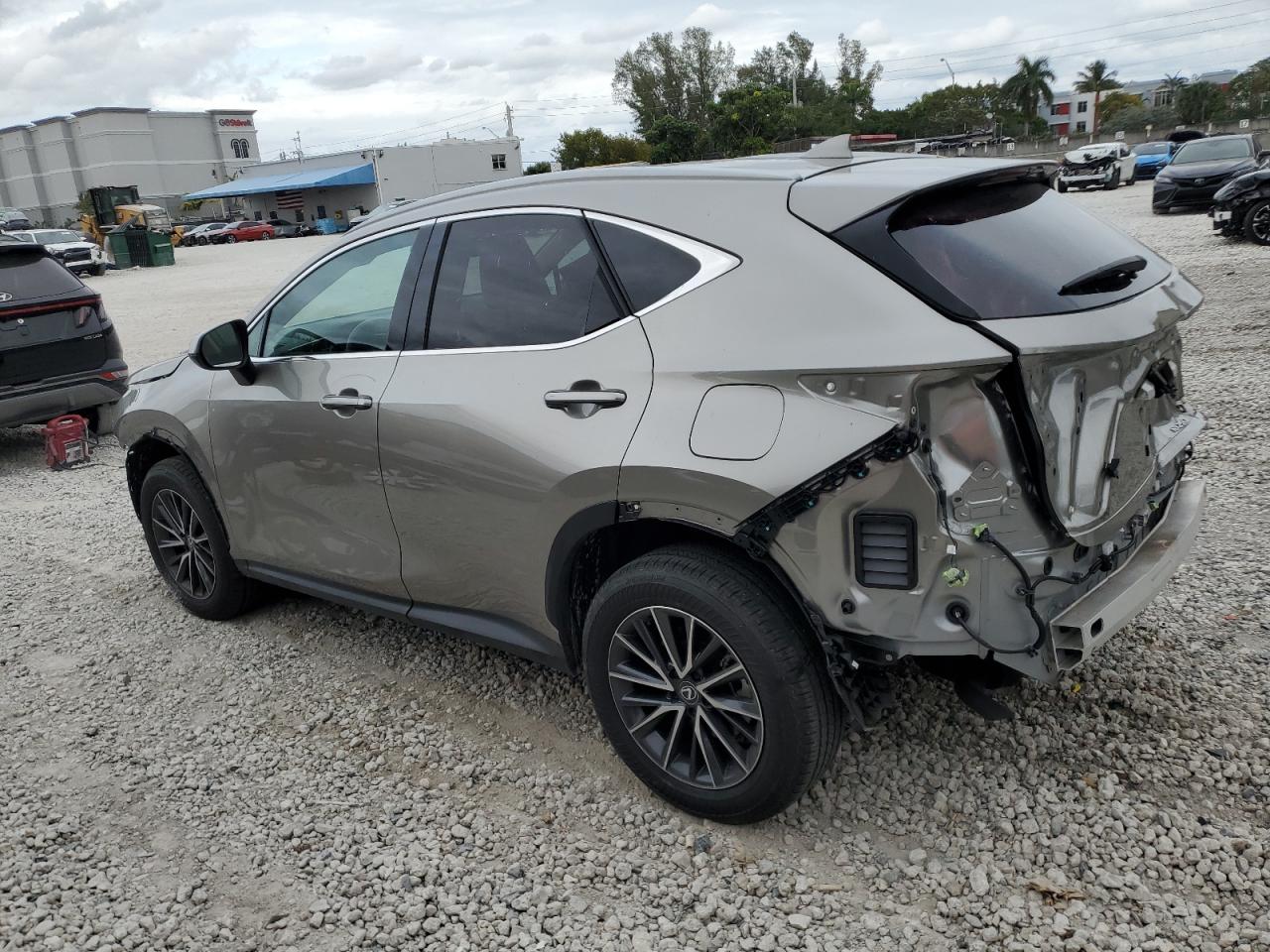 2024 Lexus NX - Image 2