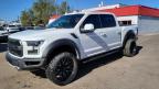 2019 Ford F150 Raptor en Venta en Phoenix, AZ - Minor Dent/Scratches