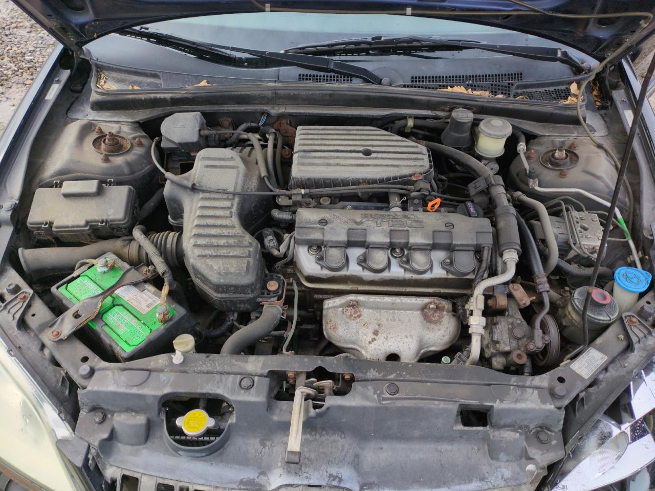 2004 Honda Civic Ex VIN: 2HGES26724H504486 Lot: 41515145