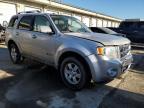 2009 Ford Escape Hybrid de vânzare în Louisville, KY - Front End