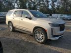 2023 Cadillac Escalade Premium Luxury zu verkaufen in Riverview, FL - Water/Flood